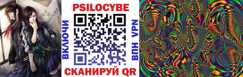 omg онион  Солигалич  Псилоцибиновые грибы MAGIC MUSHROOMS 